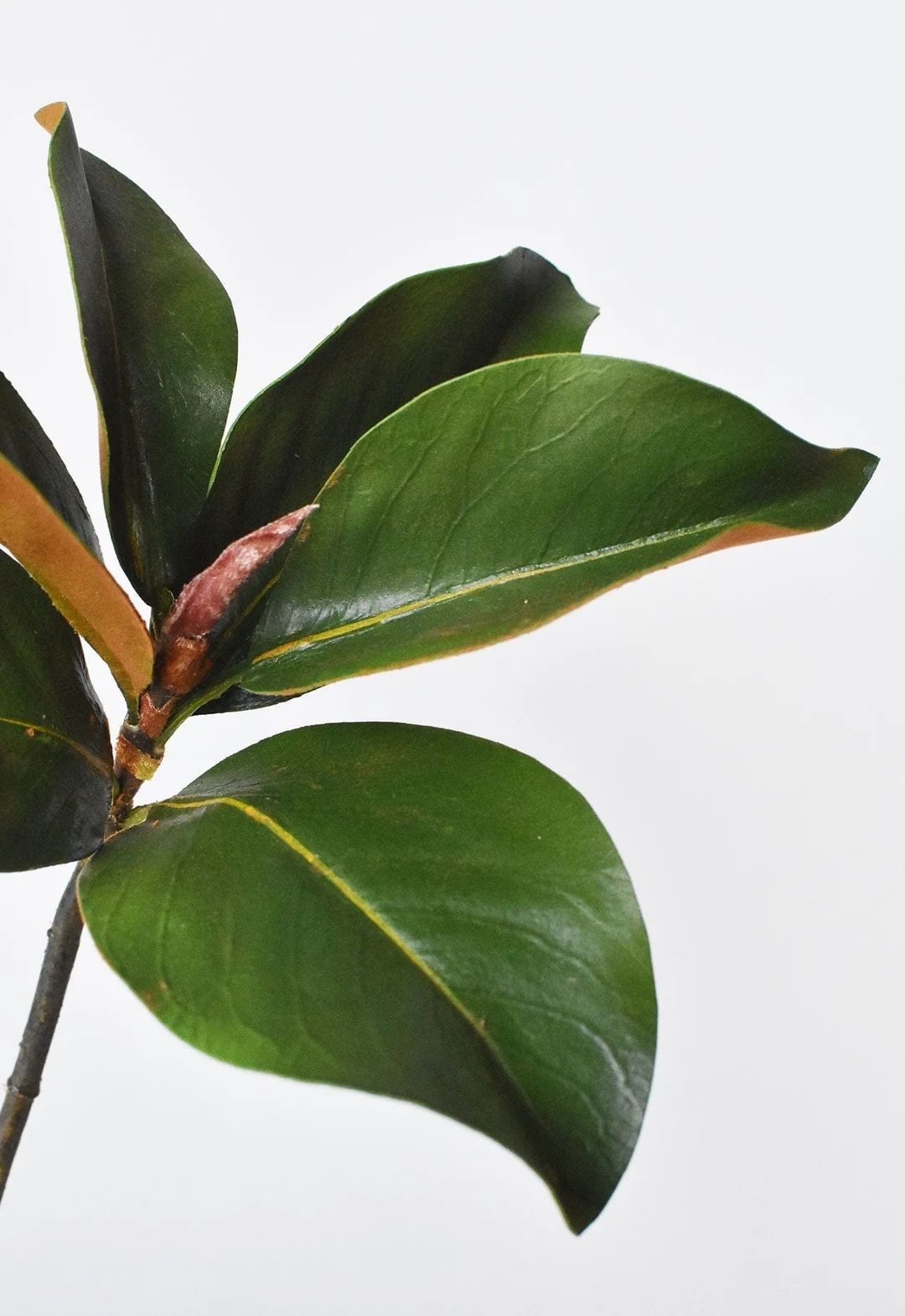 14" Faux Magnolia Leaf Pick | Etsy (US)