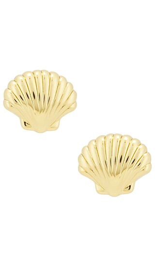 Coquille Stud Earrings in Gold | Revolve Clothing (Global)