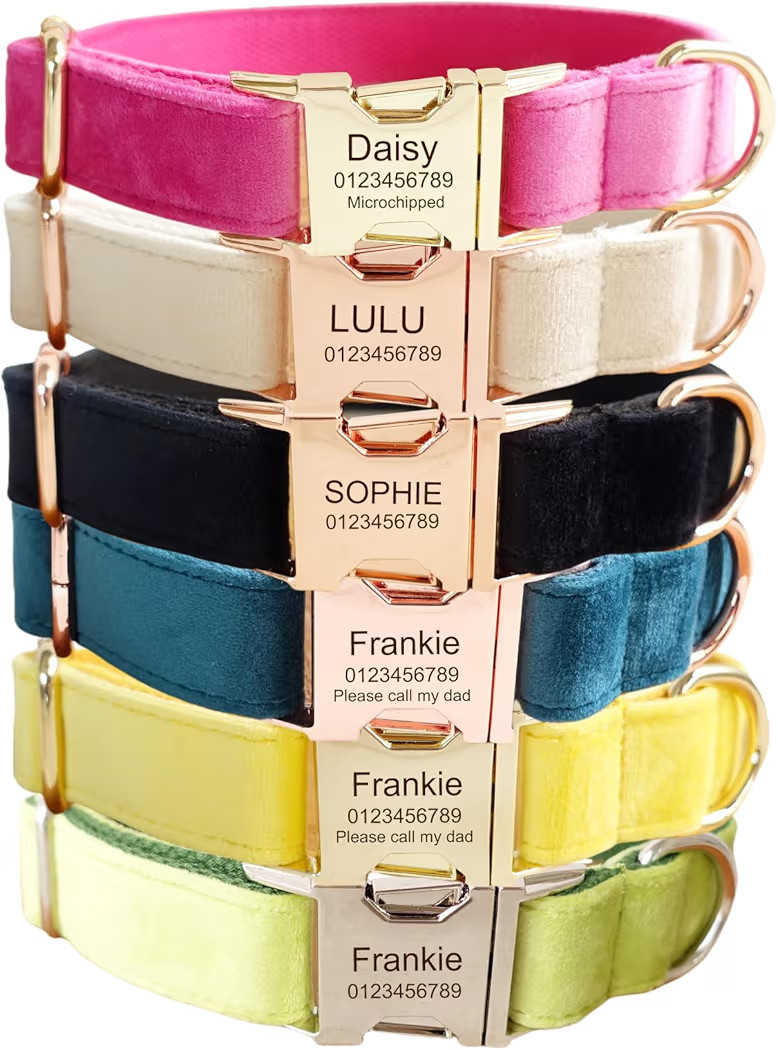 Custom Engraved Dog Collar with Name and Phone Number, Personalized for Small, Medium, and Large ... | Amazon (US)