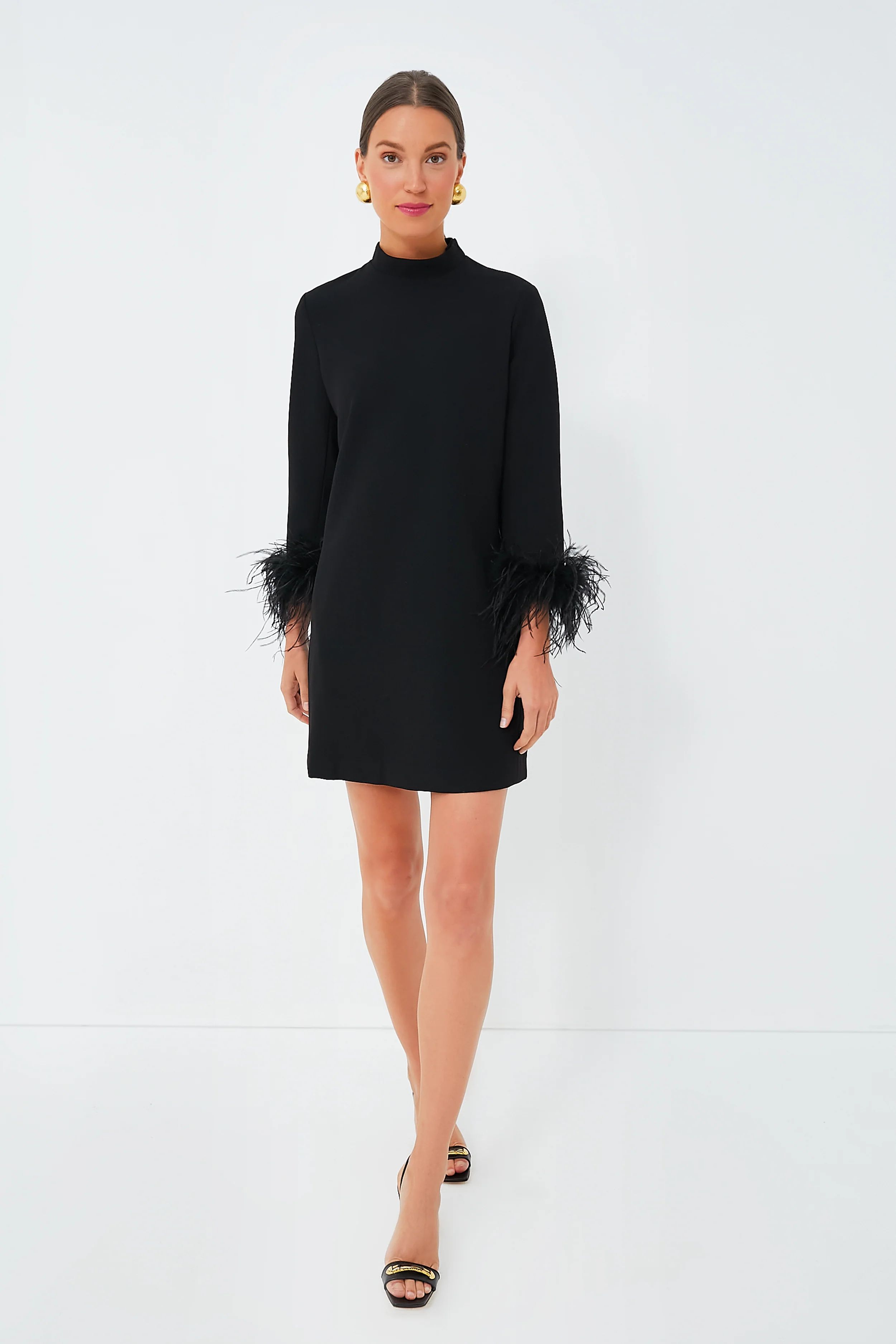 Black Feather Mod Ellie Dress | Tuckernuck (US)