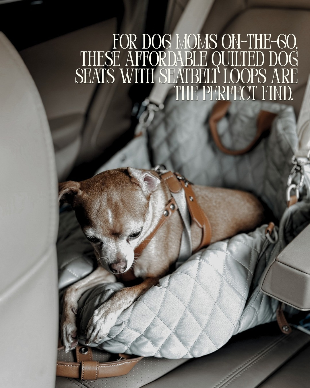 Dog Car Seat Bag. 

Scroll to shop. 

#LTKPet

#LTKActive #LTKTravel