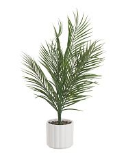 26in Areca Palm In Column Pot | TJ Maxx