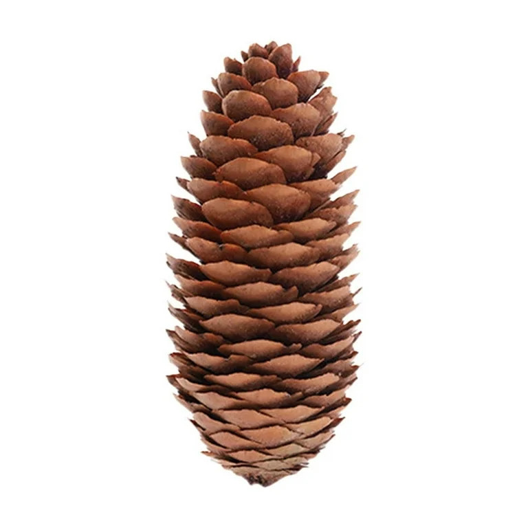 BOPORO Pine Cones Decorations, Natural Pine Cones Bulk Package, Large Medium Mini Size Rustic Pin... | Walmart (US)