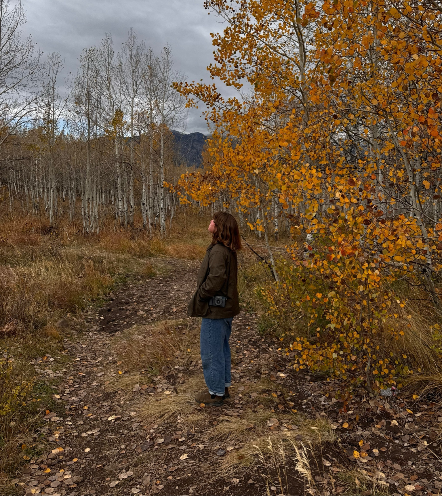 autumn essentials 🍁

#LTKSaleAlert #LTKSeasonal #LTKFindsUnder100