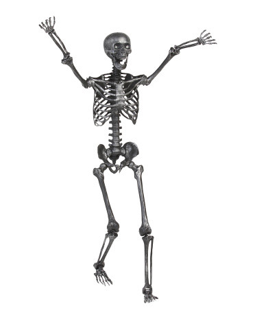 61in Life Size Posable Skeleton | TJ Maxx