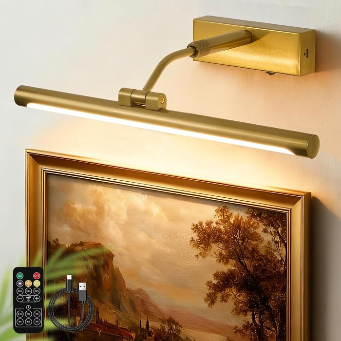 Picture Lights for Wall Battery Operated,16 Inch Wireless Rechargeable Art Lights for Pictures,3C... | Amazon (US)