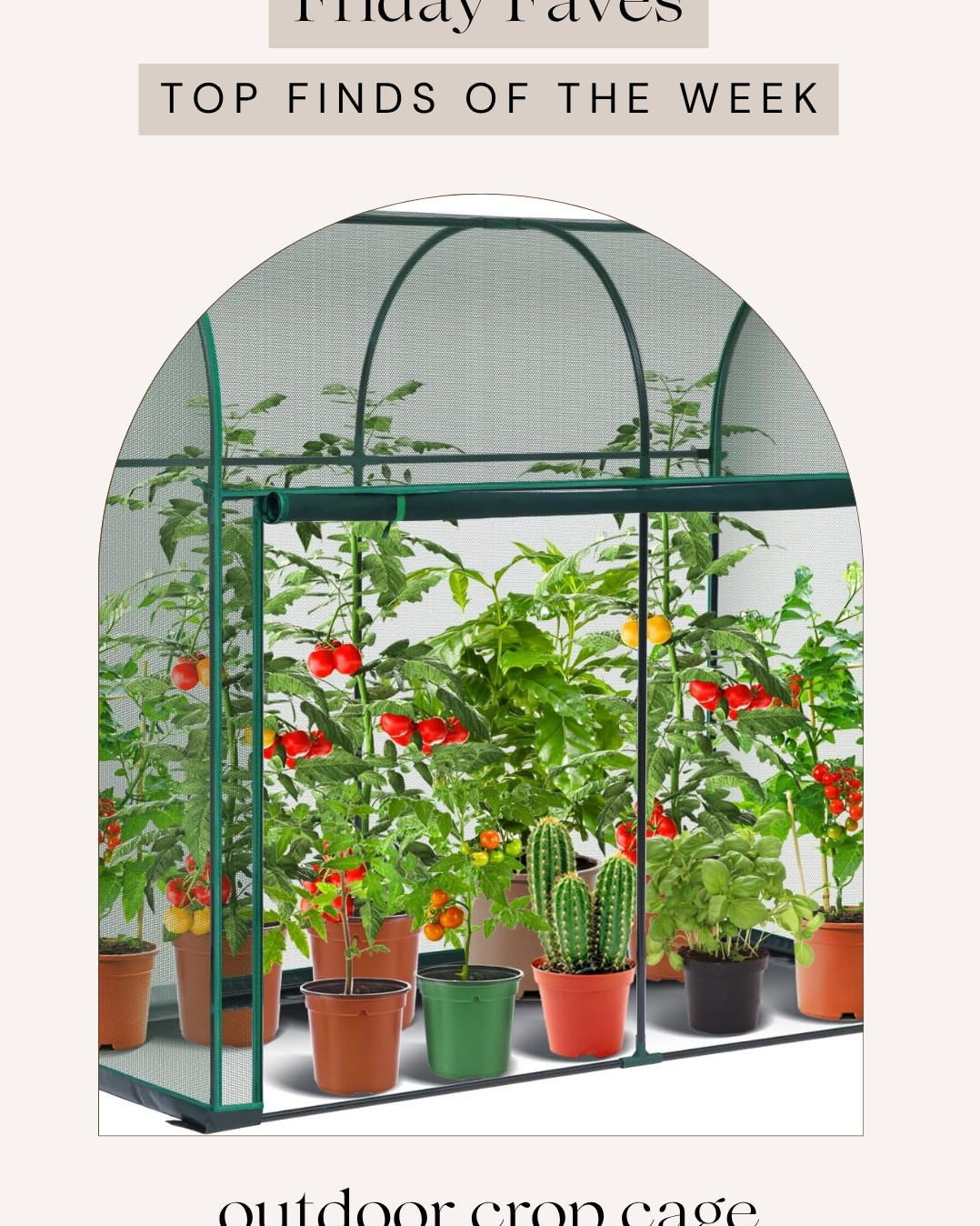 Friday favorites

#LTKSeasonal #LTKHome #LTKdayinmylife