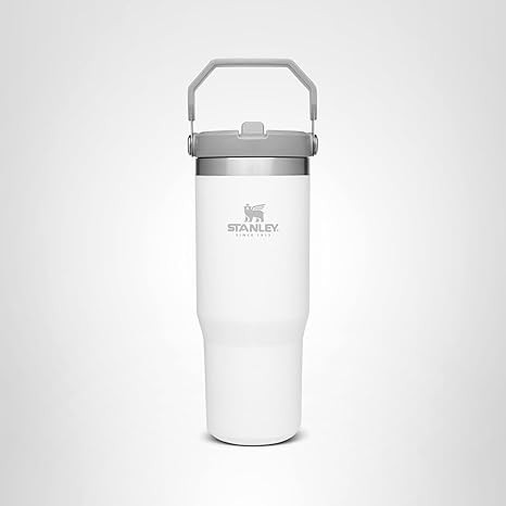 Stanley IceFlow Stainless Steel Tumbler with Straw - Vacuum Insulated Water Bottle for Home, Offi... | Amazon (US)