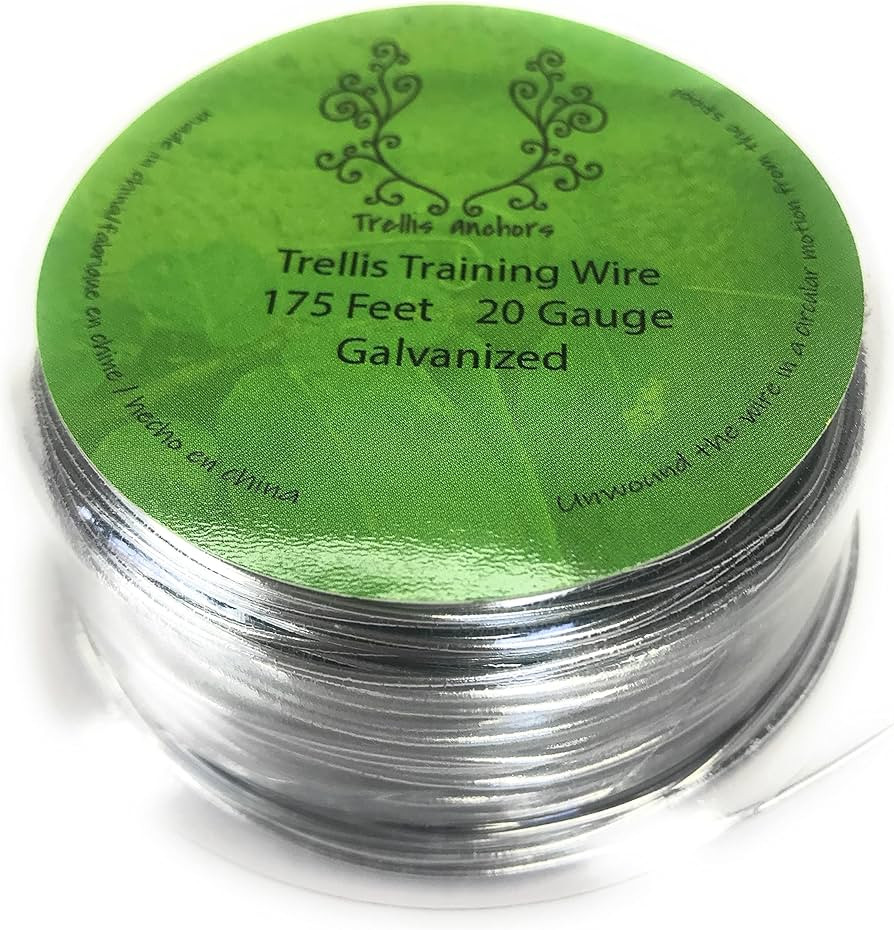 Brief content visible, double tap to read full content.Full content visible, double tap to read b... | Amazon (US)