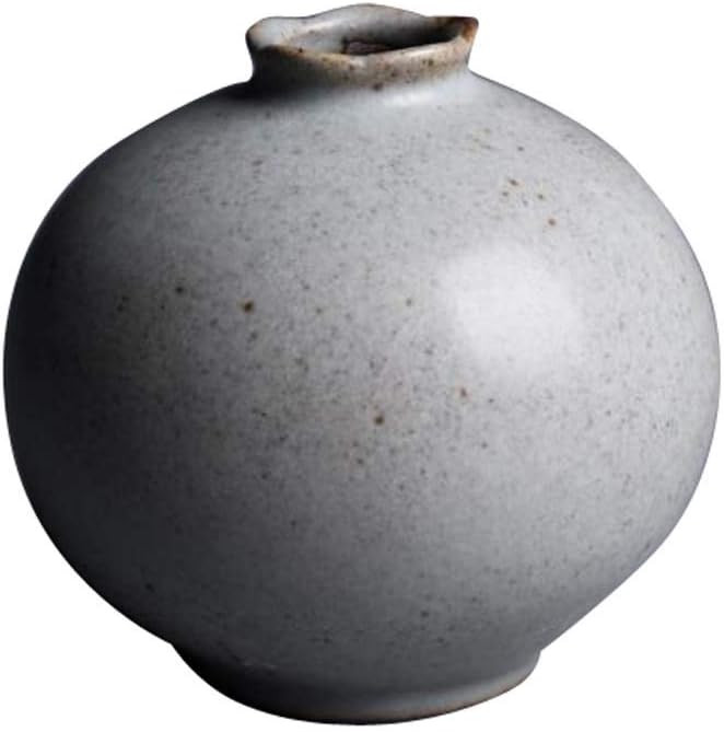 DRAGON SONIC Ceramic Flower Vases, Modern Decorative Vase for Living Room,as a Gift,C2 | Amazon (US)