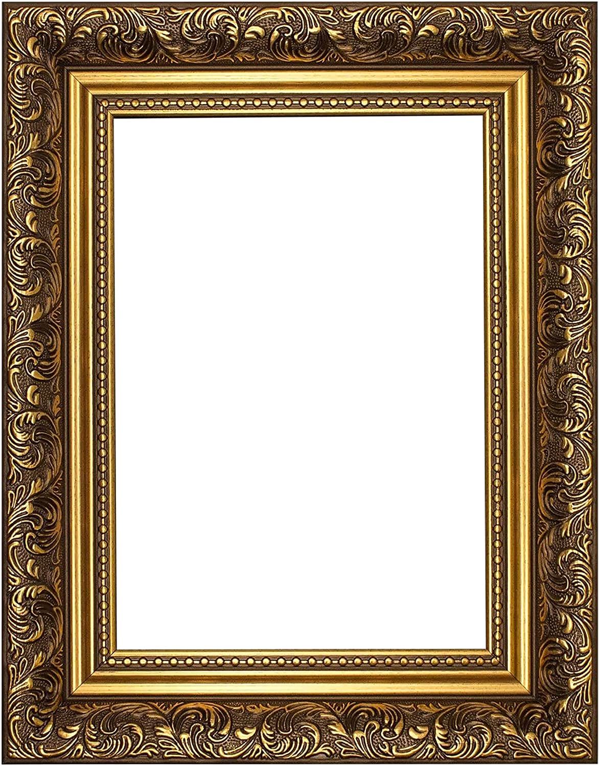 Certificate Frames Ornate Swept Antique Style French Baroque Style Picture /Photo /Poster Frame W... | Amazon (US)