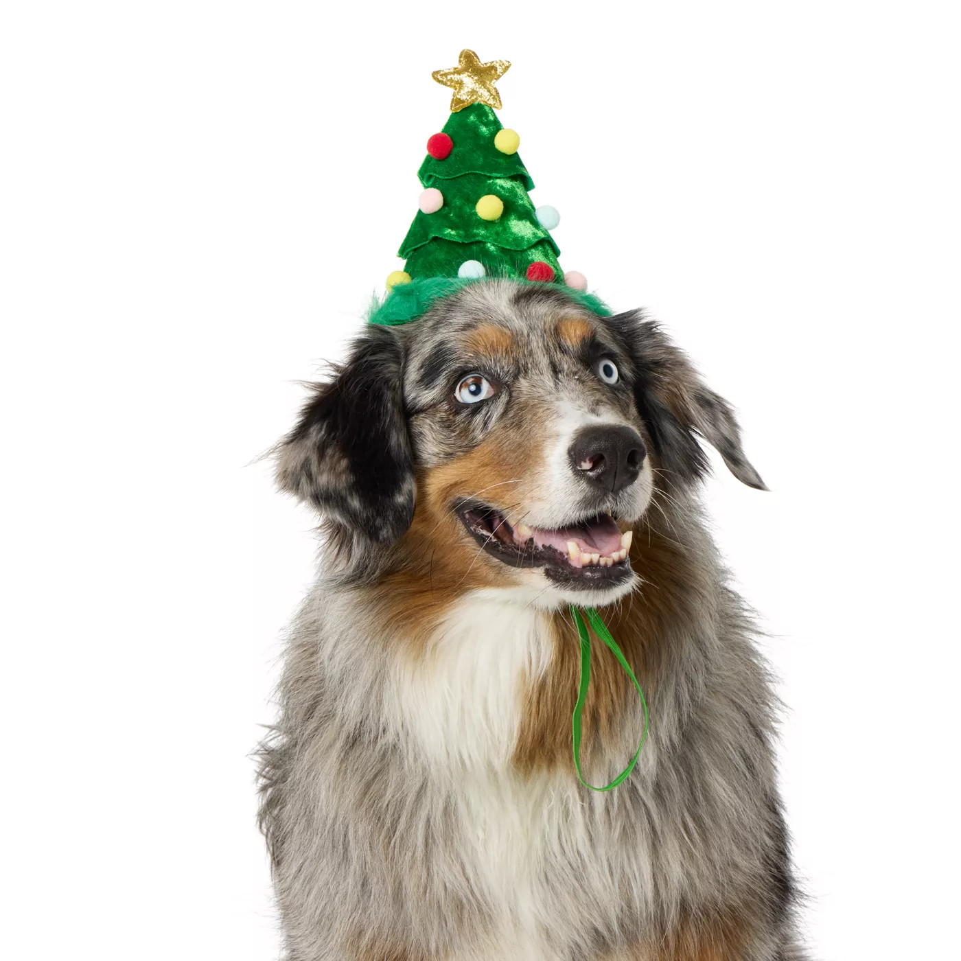 Merry & Bright&trade; Tree Holiday Headpiece, Dog & Cat | PetSmart