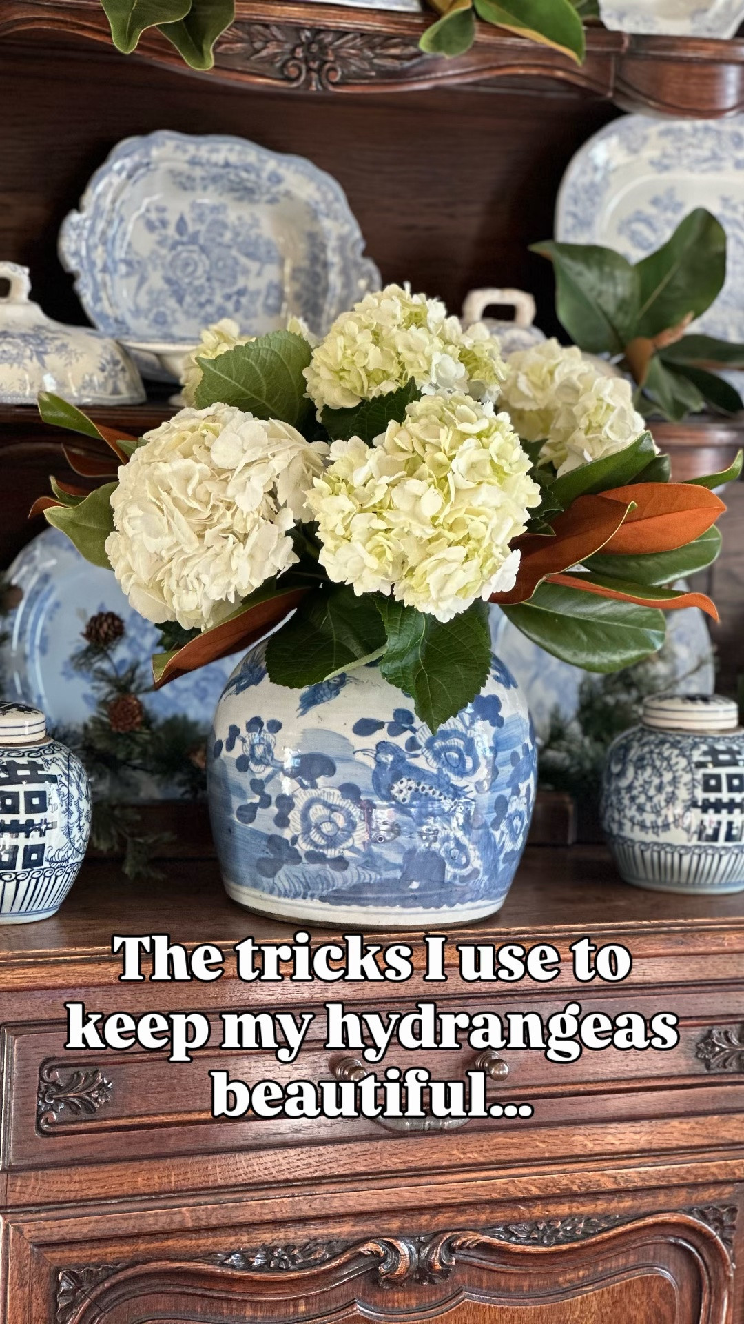 Today I’m sharing some fun hydrangea tips and tricks! Plus links to my favorite blue and white jars. 

Love hydrangeas but hate when they wilt too quickly? 💙 These simple tricks help keep them looking beautiful for days!

Save this for your next bunch of hydrangeas, and follow for more classic Southern style for you & your home—from flowers and pretty tables to home and fashion.