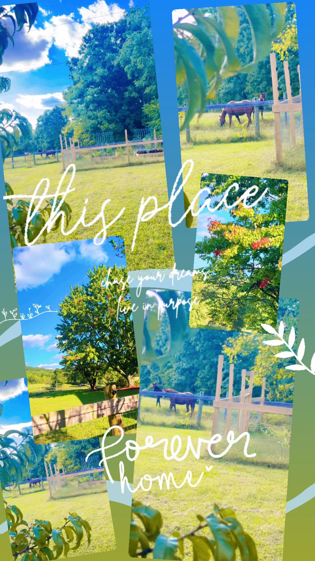 The mama and baby horsie 🐴🐎 wanted to come say hi 👋🏼 while I was watering 💦 the garden 🪴 and takin’ care of the chickens 🐓 during nap time!! 💤 I mean… what a dream 💭 it is here!!! 🥰 And I spy some bright red leaves 🍁🍂 on one of my favorite trees on our property 🤭 hehehehe happy fall y’all !!! 🧡❤️