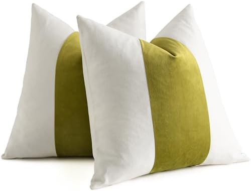 Pack of 2 Velvet Panel Cotton Pillow Covers Decorative Pillowcase Cushion for Couch Sofa Bedroom ... | Amazon (US)