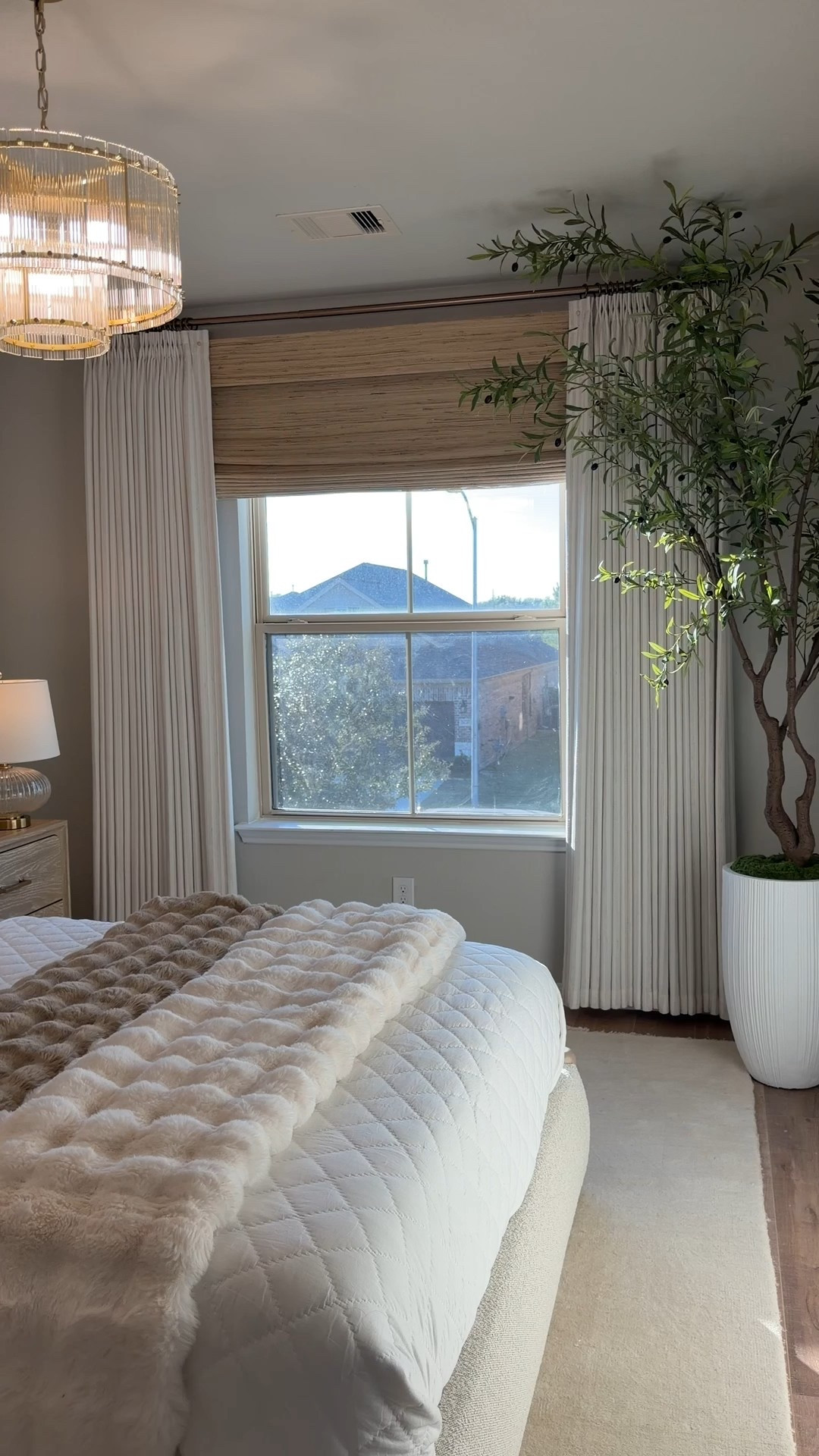 Amazon olive tree 

#LTKHoliday #LTKSaleAlert #LTKHome