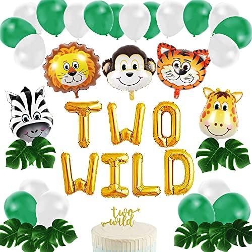 Amazon.com: Two Wild Birthday Decorations, Jungle 2nd Bday Party Decor Kit, Safari Baby Second Bi... | Amazon (US)