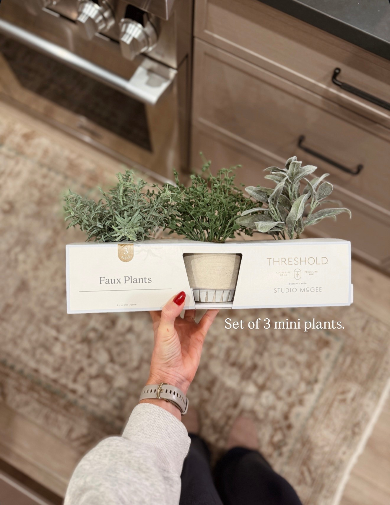 These mini herbs are cute! Perfect size for a windowsill, countertop, shelves etc  

#LTKHome #LTKFindsUnder50