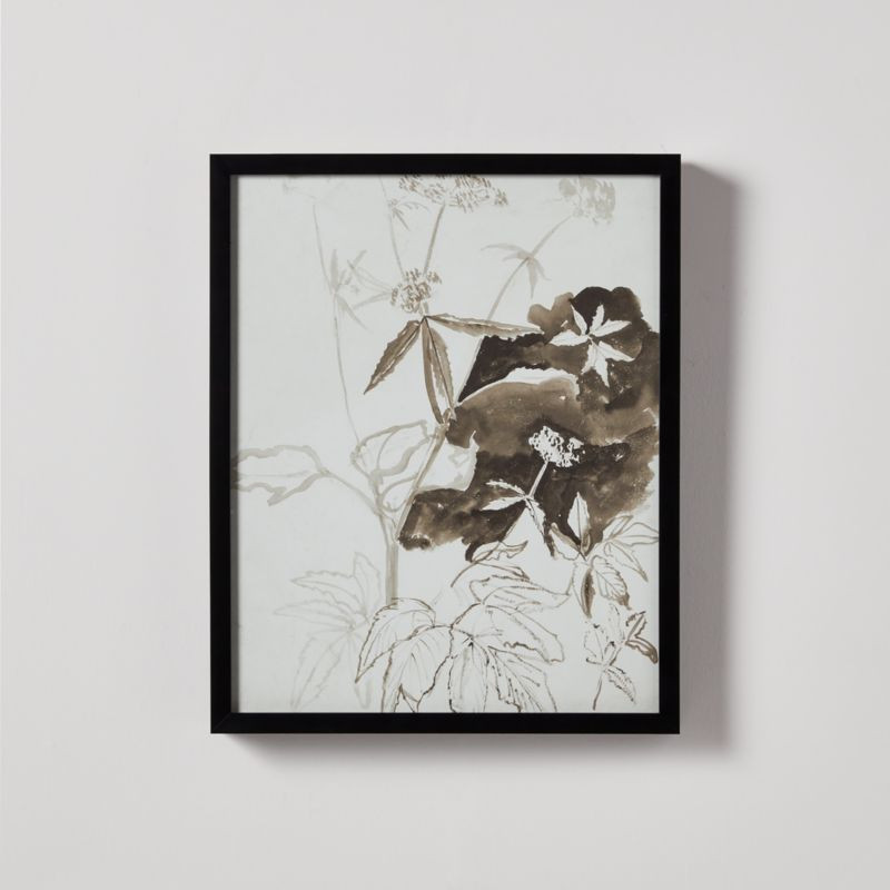 'Studies Of Plants' Reproduction in Black Frame by Carel Adolph Lion Cachet 18''x22'' | CB2 | CB2