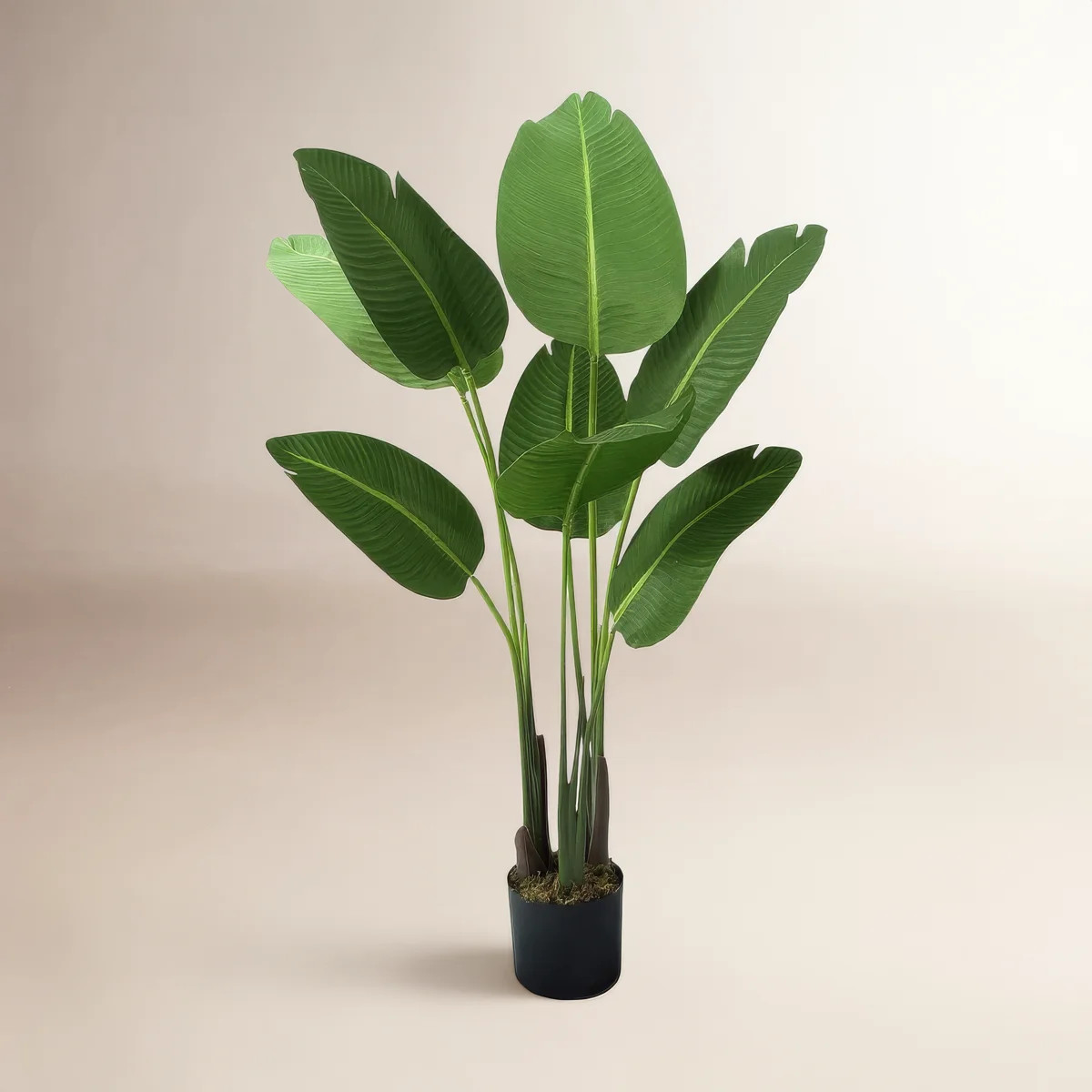 Vanora Birch Lane Artificial Bird of Paradise in Pot with Dried Moss, UV Resistant, 4 / 5 / 6 / 7... | Wayfair North America