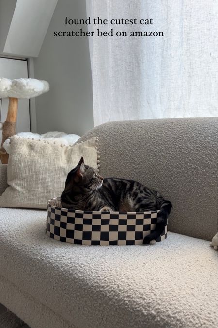 bowl shaped cat scratcher bed from amazon — human & cat approved

cat furniture, aesthetic cat furniture, cat mom amazon favorites