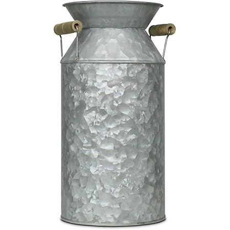 Juvale Rustic Galvanized Pitcher Vase with Handle, Watering Can for Farmhouse, Home Decor (12 in) | Amazon (US)