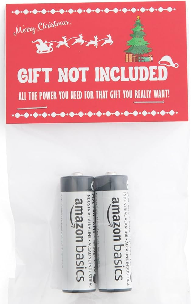 Gift Not Included Batteries Gag Gift - Funny Prank for Present Adults for Women Men - Stocking St... | Amazon (US)