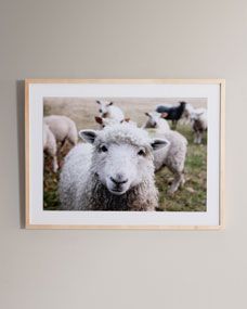 "Hi There" Photography Print Framed Handmade  Art | Horchow