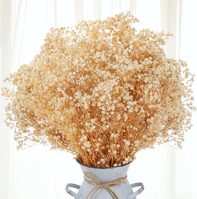 2 Packs Dried Babys Breath Bouquet, 2500+Ivory White Dried Flowers Bundles, Natural Gypsophila Br... | Amazon (US)