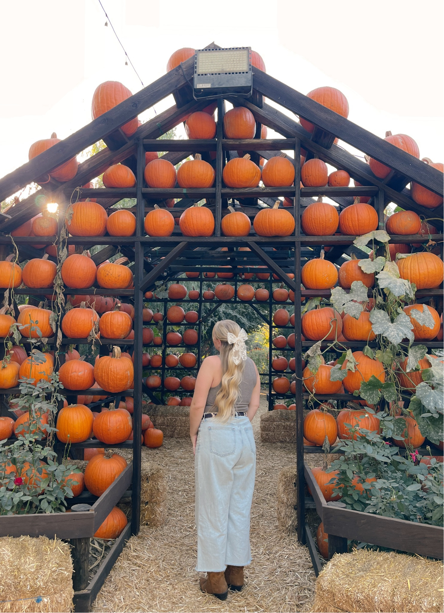 Pumpkin patch fit 🎃✨🤎🍂