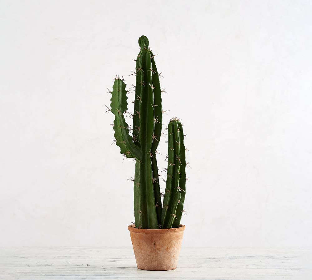 Saguaro Cactus (faux) | Pottery Barn (US)