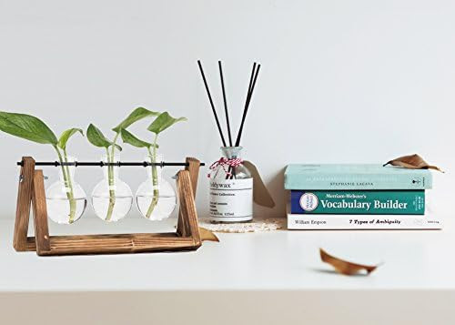 Hyindoor Bulb Vase with Vintage Wooden Stand and Metal Rotating Rod for Hydroponics Plants Deskto... | Amazon (CA)