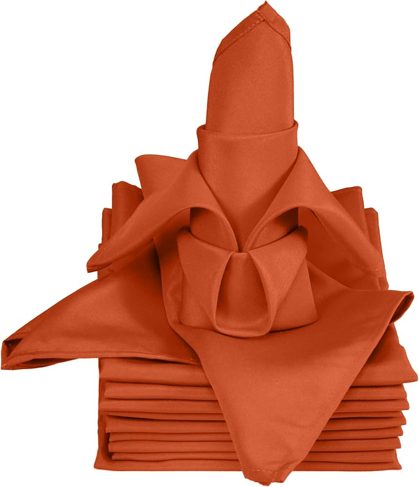 TableLinensforLess 20x20 Inch Hemmed SimplyPoly XL Cloth Napkins Set of 12 (Burnt Orange) | Amazon (US)