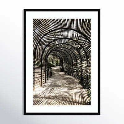 Nihan Shadow Garden by Shot by Clint Wood Framed Wall Art Print | Wayfair North America