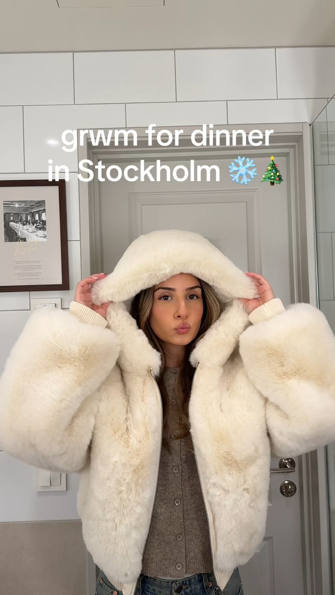 grwm for dinner in Stockholm 🎄❄️

makeup routine, winter outfit, fur coat, winter makeup 

#LTKwinter #LTKfestive