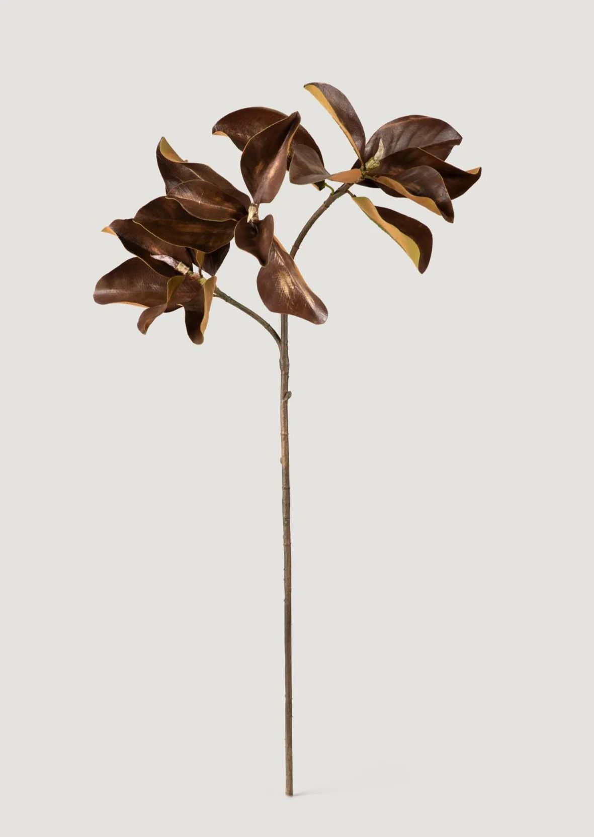 Autumn Brown Magnolia Leaf Branch | Faux Fall Branches at Afloral.com | Afloral