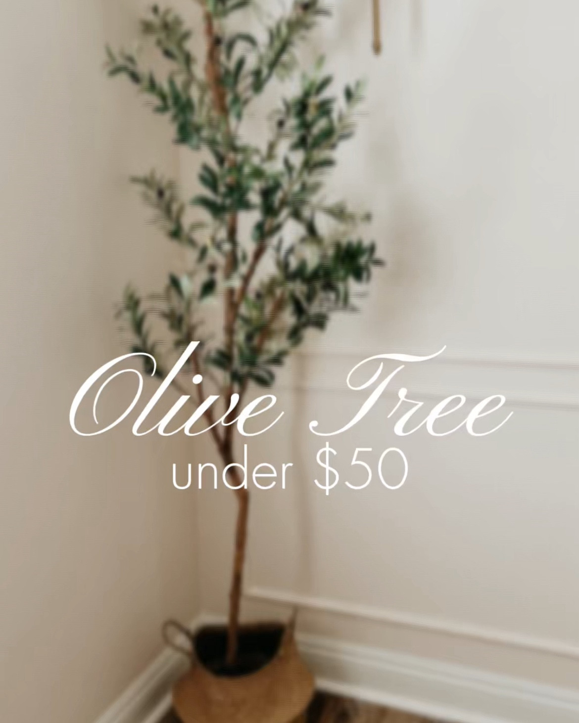 Olive Tree Under $50
The perfect addition in any space for a FRACTION of the price of others!

#LTKFindsUnder50 #LTKHome