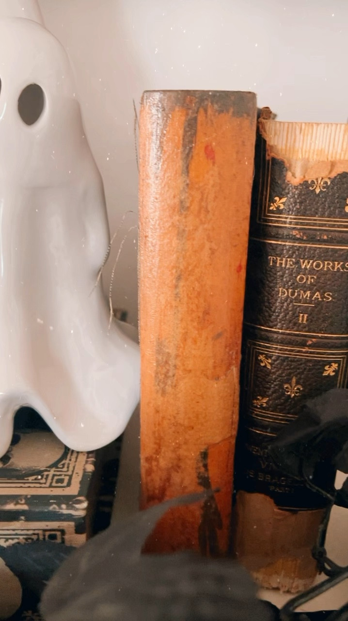 Vintage Halloween Books for Mantle Decor

Add a touch of nostalgia to your Halloween mantle with these vintage-inspired Halloween books! 📚🎃 Perfect for creating a classic, spooky vibe, these books bring charm and character to your seasonal decor. #HalloweenDecor #VintageStyle #MantleDecor #SpookyReads 

#LTKSeasonal #LTKHome