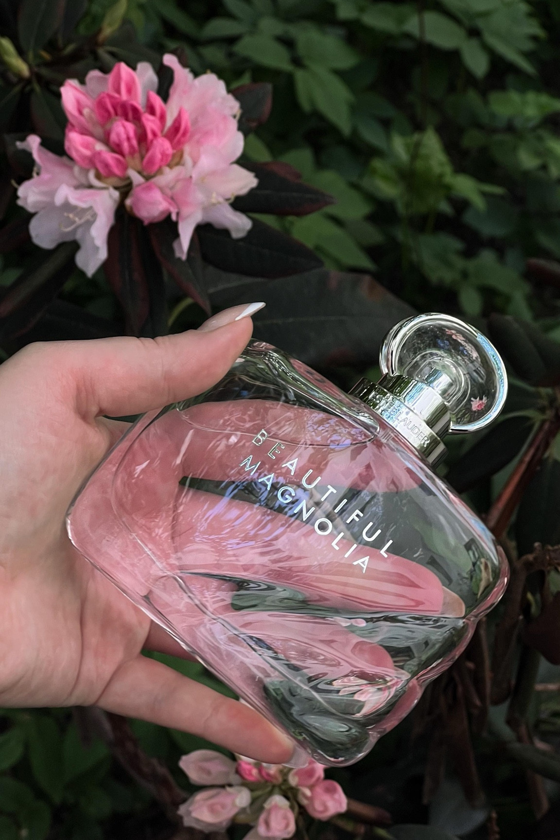 Advertisement| the essence of a blossoming garden, when the first sun rays of the day hit🌸 
a beautiful scent from @esteelauder 

#esteelauder #esteelauderbeautifulmagnolia #perfumelover