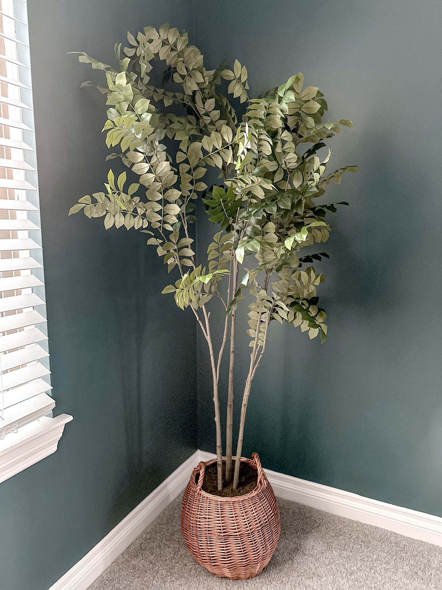 CLEARANCE is music to my ears! 🎵

The perfect faux tree 🌳 to fill in this little corner of mine, and how cute is the basket it comes in!!! 🧺

Make sure to stop in your local Target to search for some huge markdowns on the Studio McGee collection! 

Originally $150 now on sale for $105! In store only! ✨

#LTKSaleAlert #LTKSeasonal #LTKHome