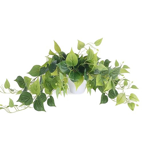 Tiita 1 Pack Fake Plants Artificial Scindapsus Aureus in Pots, Realistic Fake Greenery Potted Plants for Home Office Desk Window Sill Bathroom Bedroom Outdoor Indoor | Amazon (US)