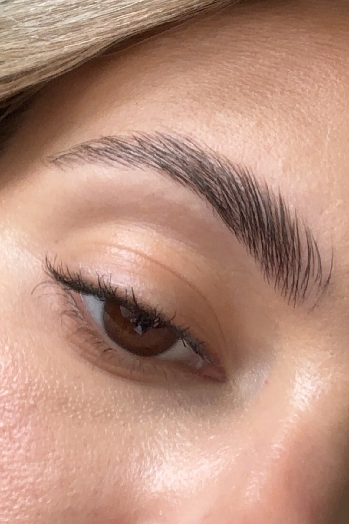 Best best best brow product 