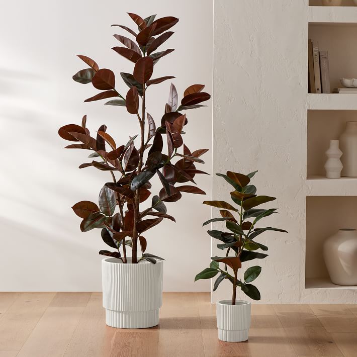 Faux Potted Rubber Tree | West Elm (US)