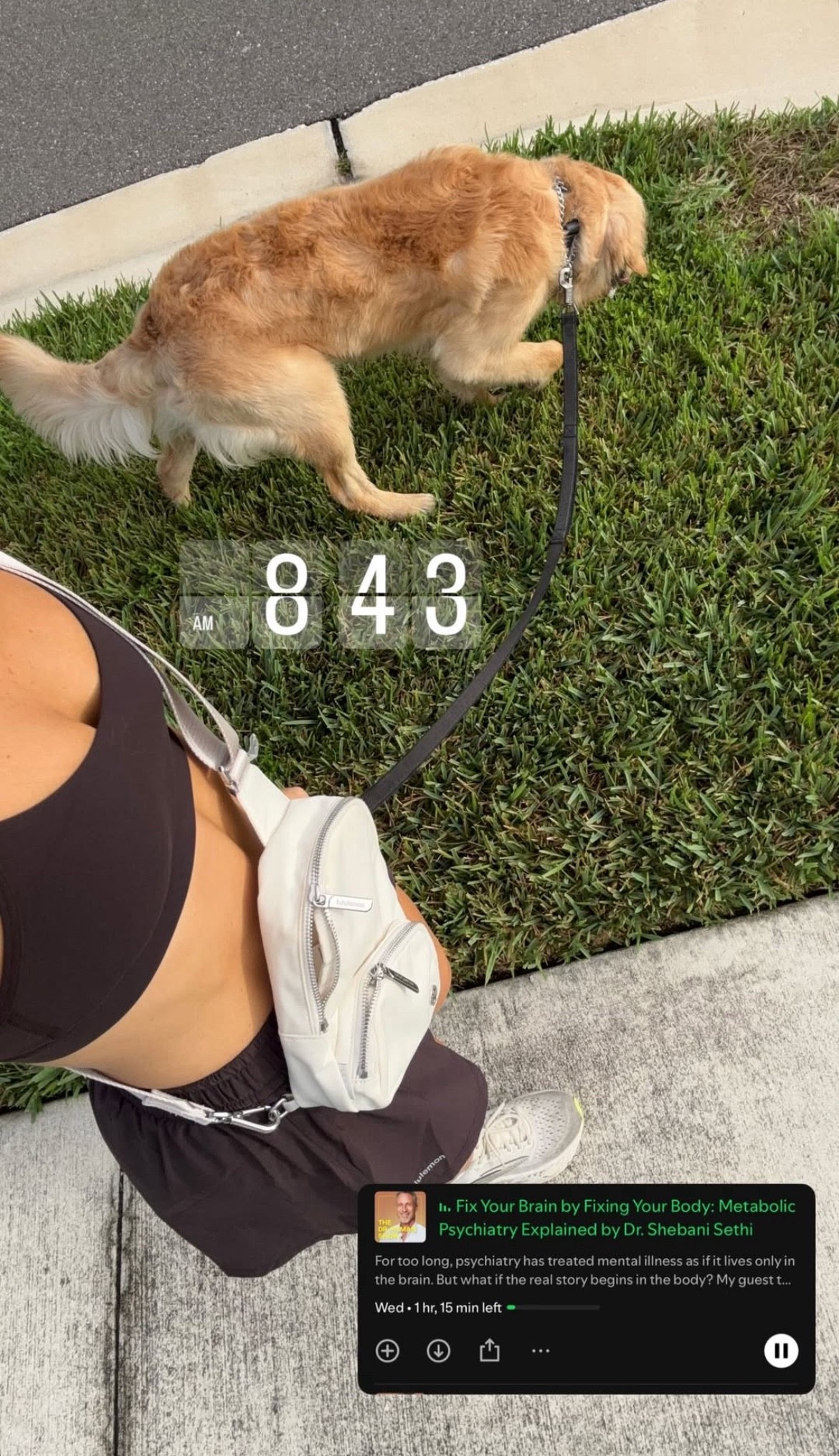 morning walk with Jax!

#LTKStyleTip #LTKActive #LTKFindsUnder100