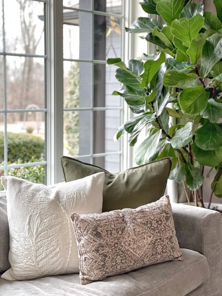 Pillow pairing for winter and into spring! I love this simple combination with tons of texture  

#LTKhome #LTKSeasonal #LTKunder50