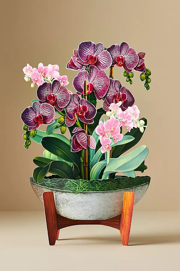 Paper Bouquet | Anthropologie (US)