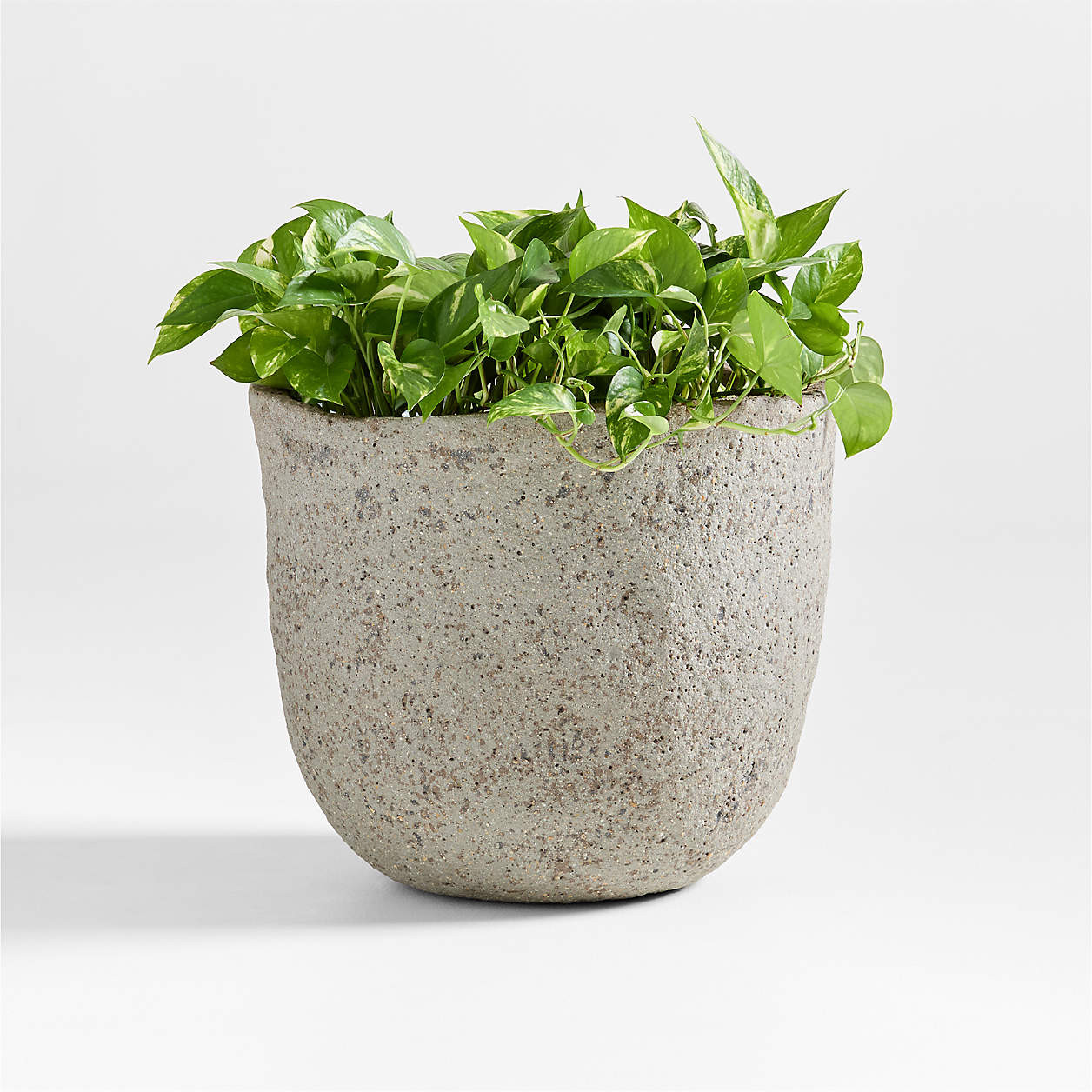 Cavo Warm Grey Textured Indoor/Outdoor Planter 16.5"x14" + Reviews | Crate & Barrel | Crate & Barrel