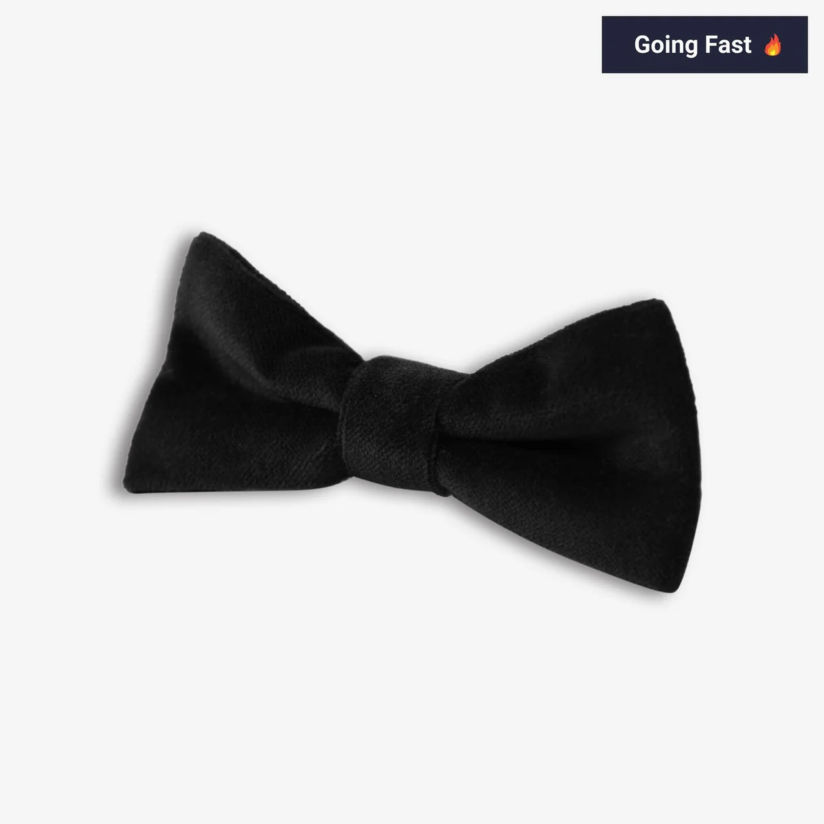 Shop Boys' Bow Tie | Black Velvet Formal Kids' Clothes | APPAMAN | Appaman Children's Clothing