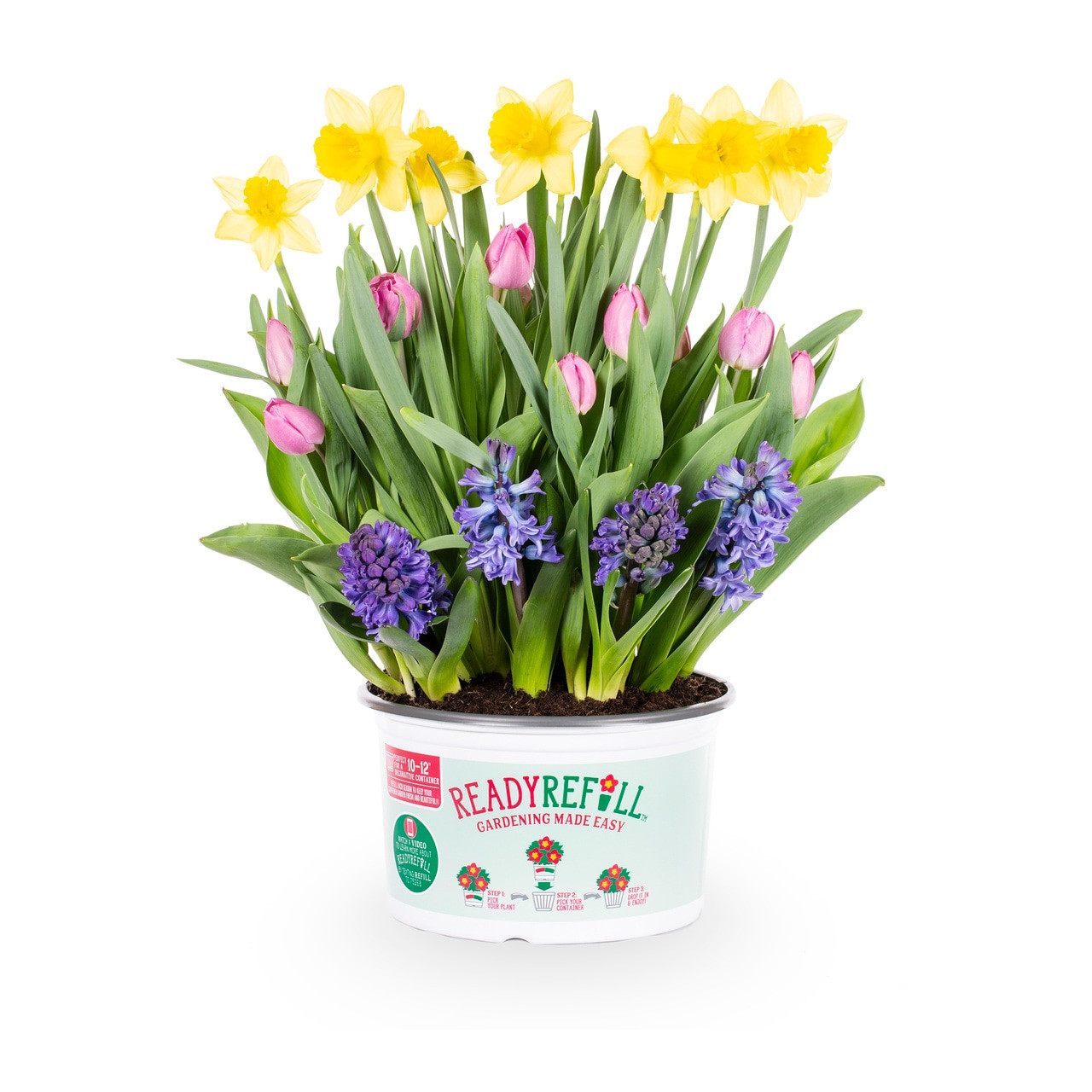 Ready Refill Mixed Bulbs Bulbs 1 Count one_size | 4696 | Lowe's