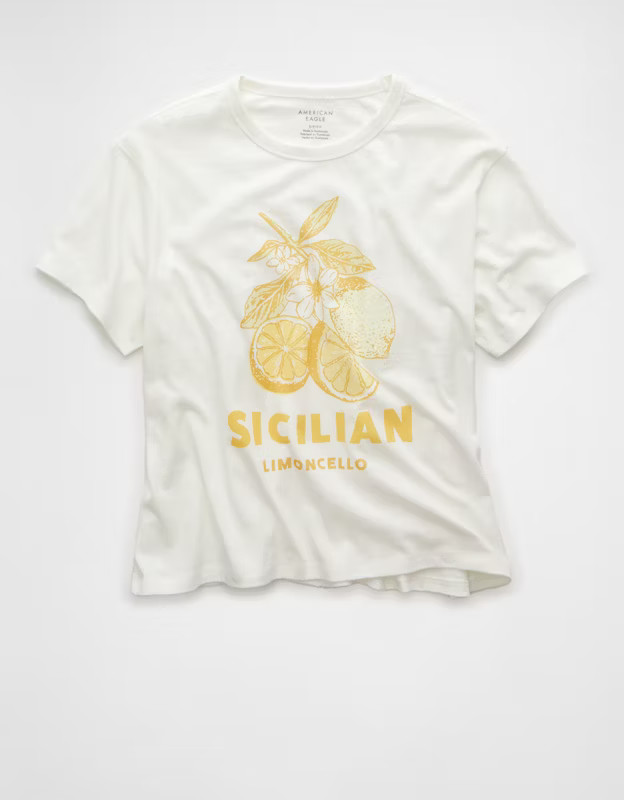 AE Ex-Boyfriend Destination Graphic T-Shirt | American Eagle Outfitters (US & CA)